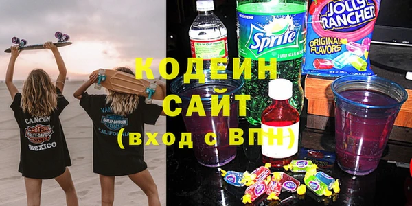 хмурый Липки