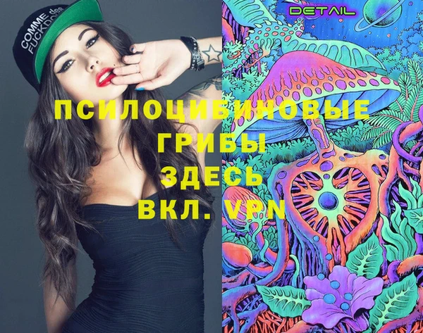 хмурый Липки