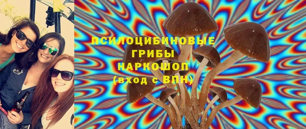 а пвп мука Лиски