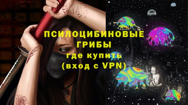 хмурый Липки
