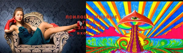 кокс Лихославль