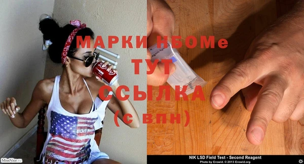 мдпв Ладушкин