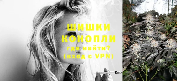 хмурый Липки