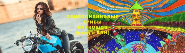 хмурый Липки