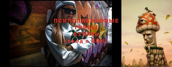 а пвп мука Лиски