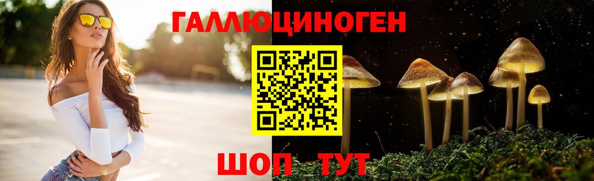 Северодвинск  Псилоцибиновые грибы Magic Shrooms  Вход с VPN 