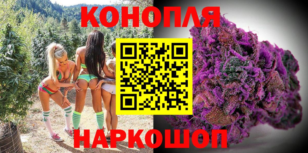 Шишки марихуана семена  МАРИХУАНА семена  Северодвинск  МАРИХУАНА OG Kush 